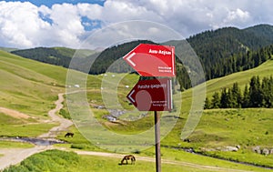 Red direction sign on Asy plateau near Almaty city, Kazakhstan. View of mountain and grazing horses