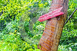 Red direction sign to the tropical jungle Koh Samui Thailand