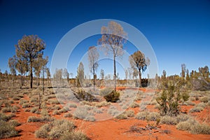 Red Dirt Blue Sky Desert Outback Australia