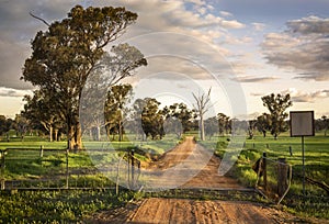 Red dirt farm road through an open gate in the late afternoon with long shadows in mid western New South Wales, Australia