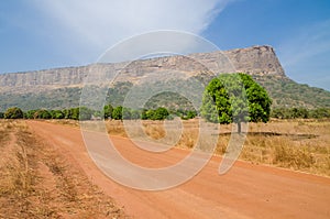 Red dirt and gravel road, single trees and large flat topped mountain in Fouta Djalon region, Guinea, West Africa