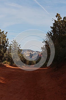 A red dirt road on the Devil\'s Bridge Trail lined with evergreens with mountains in the background in Sedona, Arizona