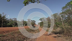 red dirt road leading through the tropics