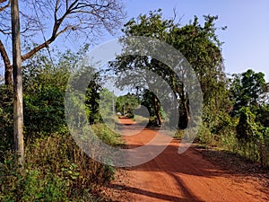 A red dirt road and a narrow river flow by, rural nature seances in the morning in India