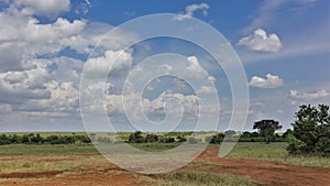 A red dirt road winds through the savannah.