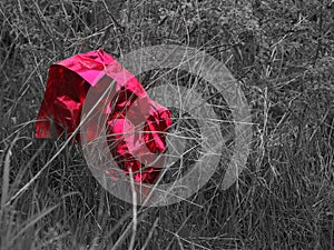 Red discarded packaging - selective colour