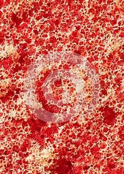 Red dishwashing sponge. textura or background photo