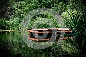 A red dock in a pond with a ladder surrounded by lush greenery