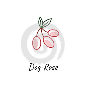Red dog rose vector icon on white.