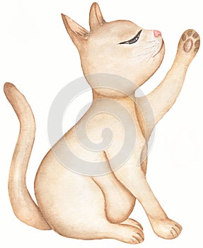 Red domestic Sitting cat . Cute  kitty picture. Watercolor hand drawn illustration