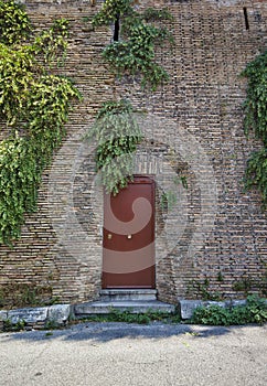 A red door in old wall with plants