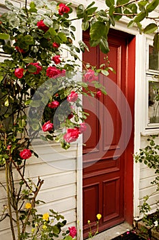 Red Door and Roses