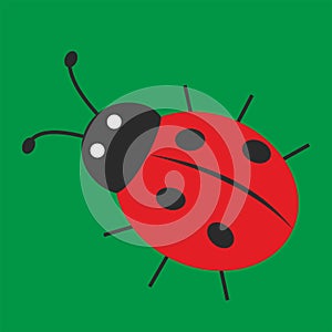 Red double dot ladybug on green background, vector illustration, eps.