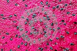 Red dragon fruit, aka Pitaia or Pitaya. Detail of the pulp of a red pitaya fruit in a macro photo photo