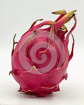 Red dragon fruit, aka Pitaia or Pitaya. Red pitaya isolated on white background photo