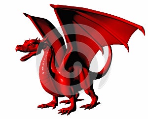 Red dragon on white.