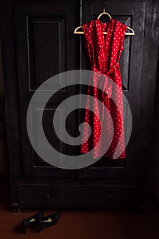 Red dress in a white dots on a wooden hanger