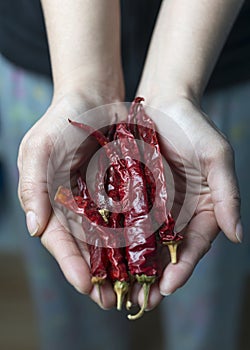 Red dried chilli pepper