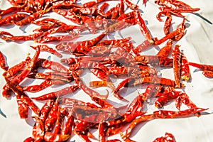 Red dried chilli on white background