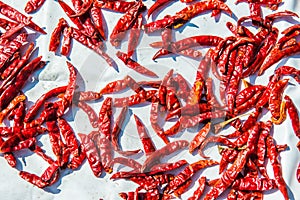 Red dried chilli on white background