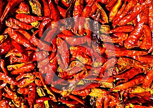 Red dried pepper in pods. Dry chili peppers, closeup.  dried red pepper pods in the background.