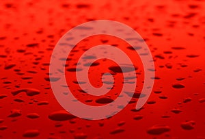 Red Drops Splashed On Red Surface