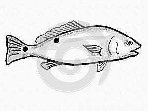 Red Drum South Carolina Inshore Fish Cartoon Retro Drawing