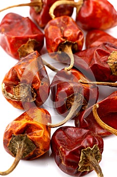 Red dry chilies photo