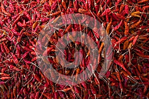 Red dry chilli