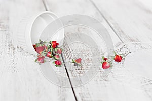 Red dry roses scattered on the light wooden background