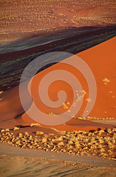Red dune in the namib desert