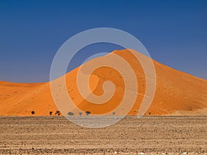 Red dune of Namid desert