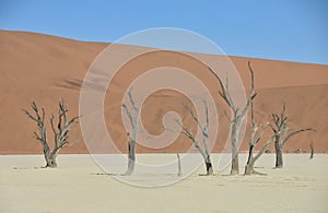 Deadvlei - Namibia - 2017