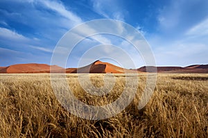 Red Dunes in Sossusvlei