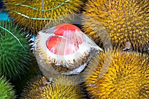 Red durian