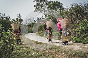 Red dzao ethnic minority woman in Ta Phin village, Sa Pa, Lao Cai province, Vietnam