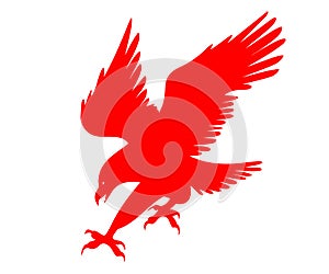 Red Eagle with wide wings, illustration for brand and commercials