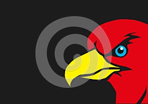 Red eagle with yellow beak Vector photo