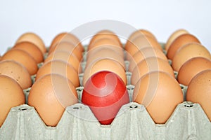 Red Easter egg among brown eggs