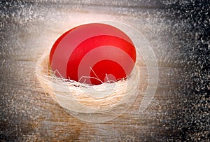 Red Easter egg in the nest on rustic background