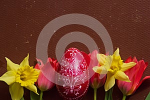 Red Easter Egg, Tulips And Daffodills