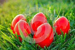 Red Easter Eggs in green grass