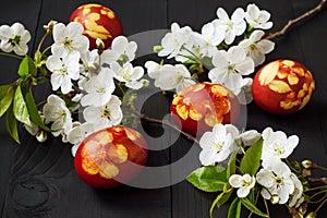 Red Easter eggs. Postcard concept.