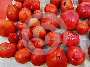 Red eco tomatoes raised without fertilizers