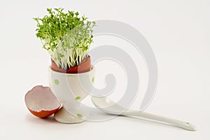 The red egg with growing cress