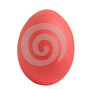 Red egg isolared on white bakground photo