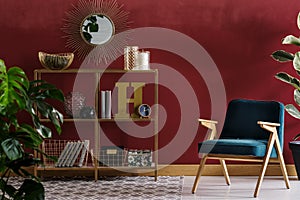 Red elegant livng room interior