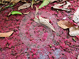 red ember of firecracker when temple fair