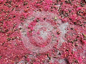 red ember of firecracker when temple fair