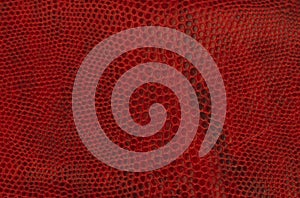 Red embossed reptile skin texture